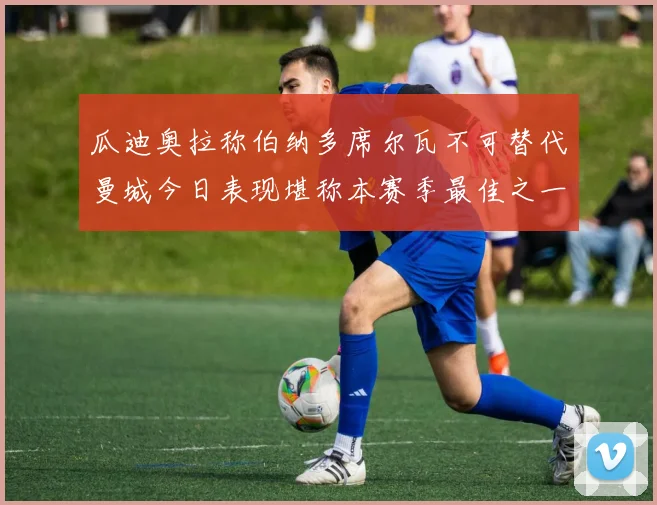 瓜迪奥拉称伯纳多席尔瓦不可替代曼城今日表现堪称本赛季最佳之一