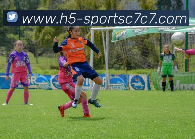 App Interface Preview